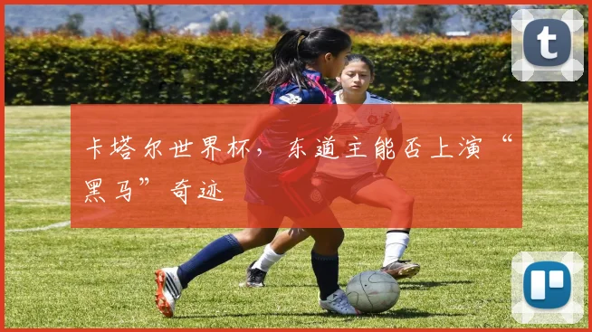 卡塔尔世界杯,东道主能否上演“黑马”奇迹