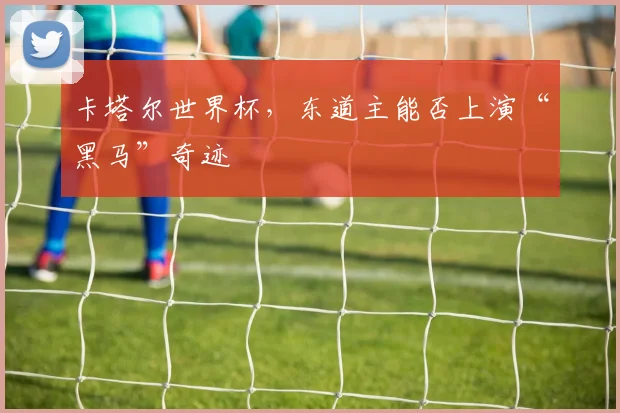 卡塔尔世界杯,东道主能否上演“黑马”奇迹