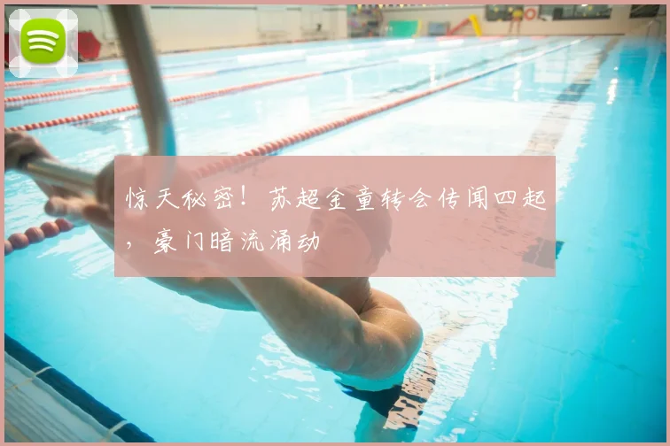惊天秘密!苏超金童转会传闻四起,豪门暗流涌动